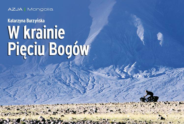 Losowy darmowy artykuł